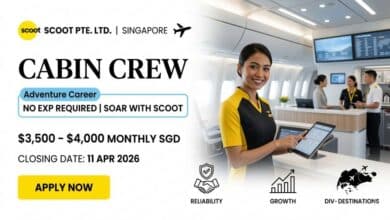 Cabin Crew