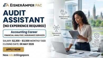 Audit Assistant